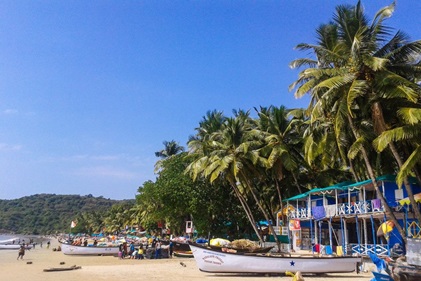 A serene beach with tall palm trees and crystal-clear blue water.