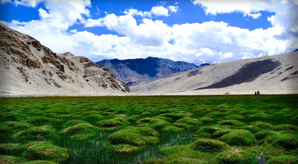 Ladakh Scenic View