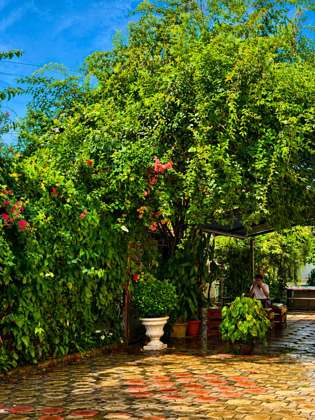 Resort View